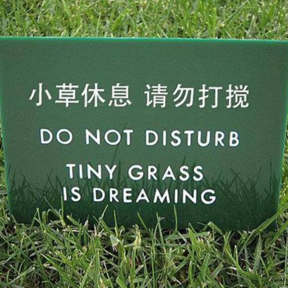 Meet your Posher, Skadamooshery - Picture 11 of 11